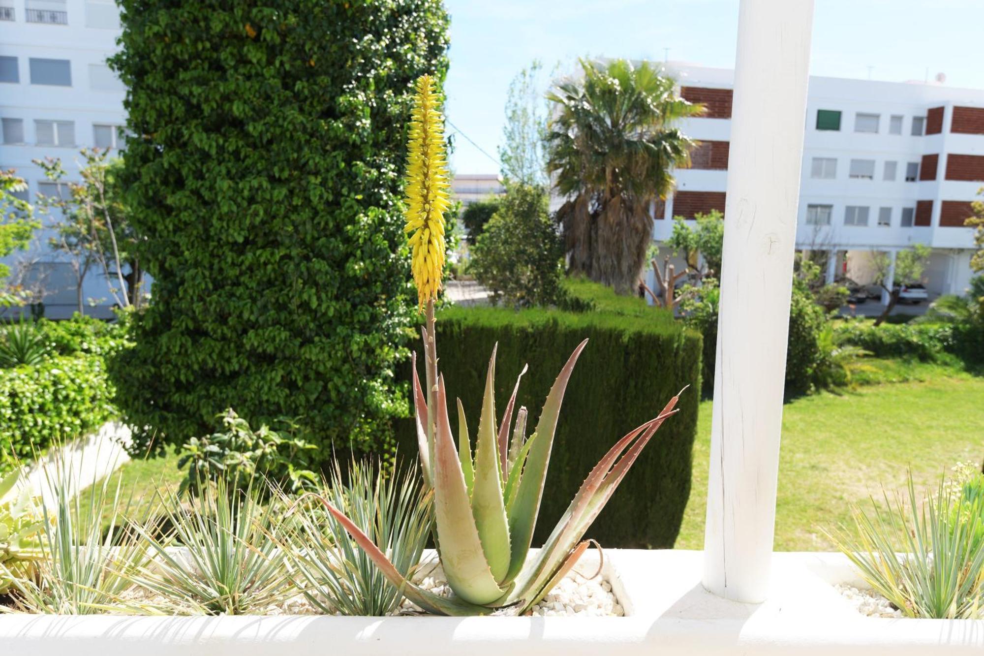 Stories Javea - Cosy Boho Apartment El Arenal - Toplocation - 250M From The Beach! Dış mekan fotoğraf